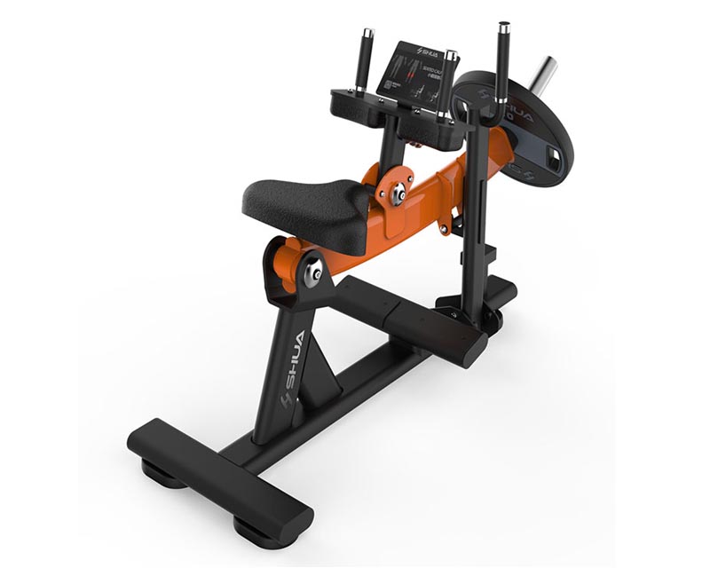 SH-G6910 小腿提踵訓(xùn)練器