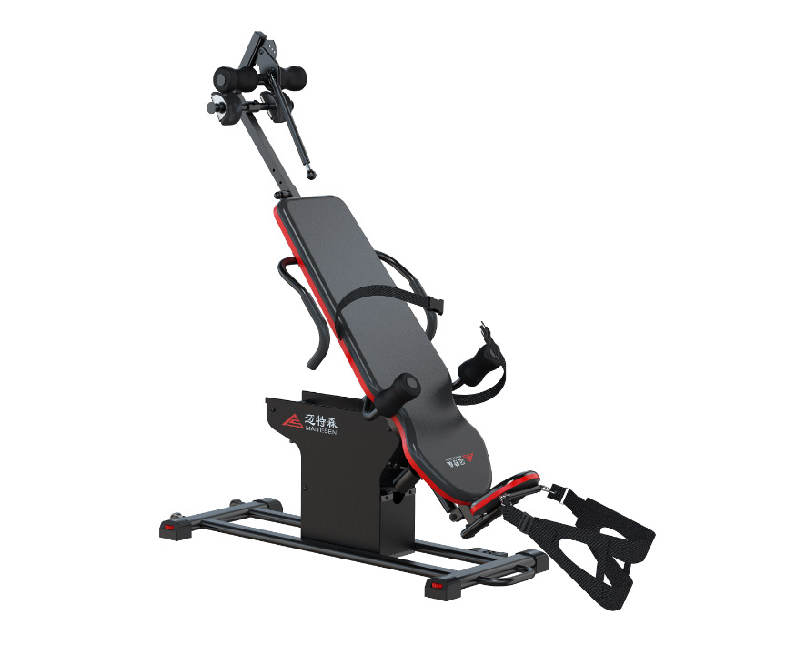 邁特森MS365 電動倒立機