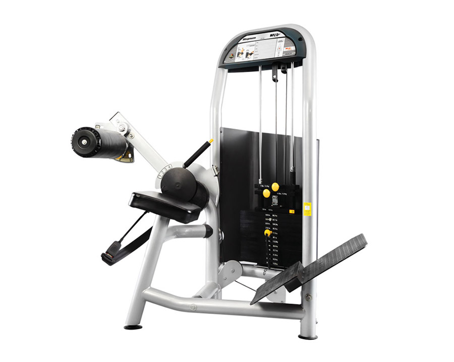 F1-5008 商用背部訓(xùn)練器